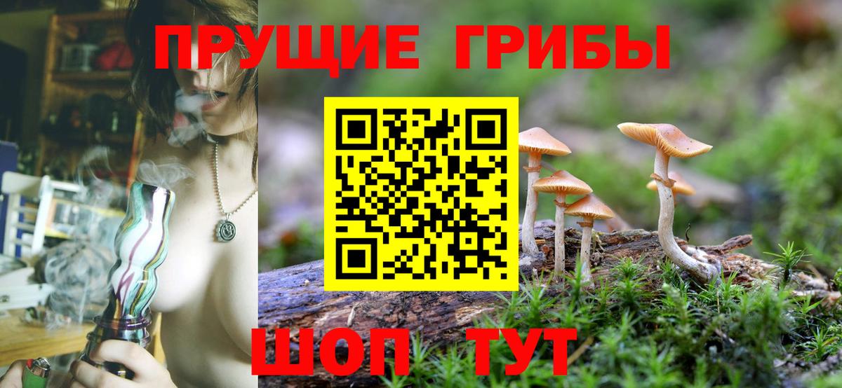 Алапаевск  Псилоцибиновые грибы GOLDEN TEACHER  Вход с VPN 
