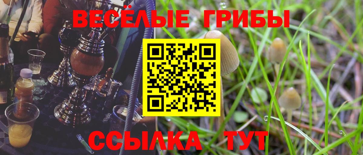 Псилоцибиновые грибы ЛСД Алапаевск